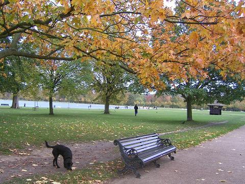 hyde park.JPG
